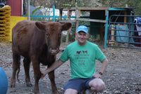 I Want to Spend the Holidays With A Cow