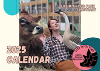 Life With Pigs 2025 Calendar