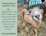 Life With Pigs Daily Animal Calendar 2027
