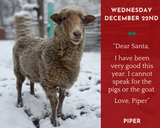 Life With Pigs Daily Animal Calendar 2027